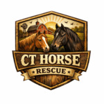 CT Horse Rescue
